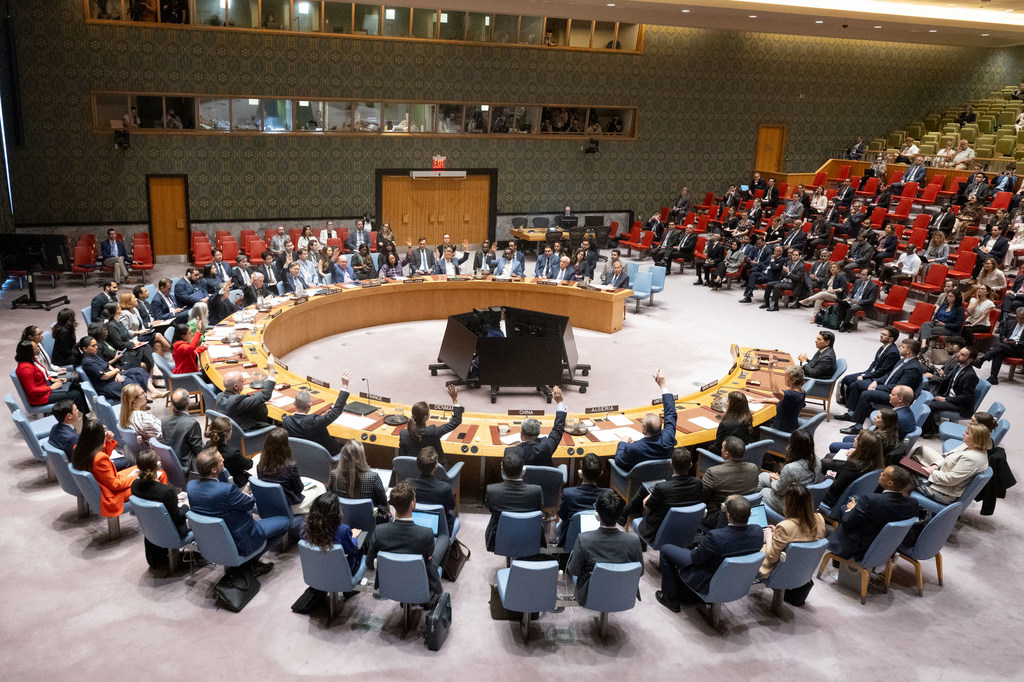 Réunion du Conseil de sécurité sur la situation à Gaza.
